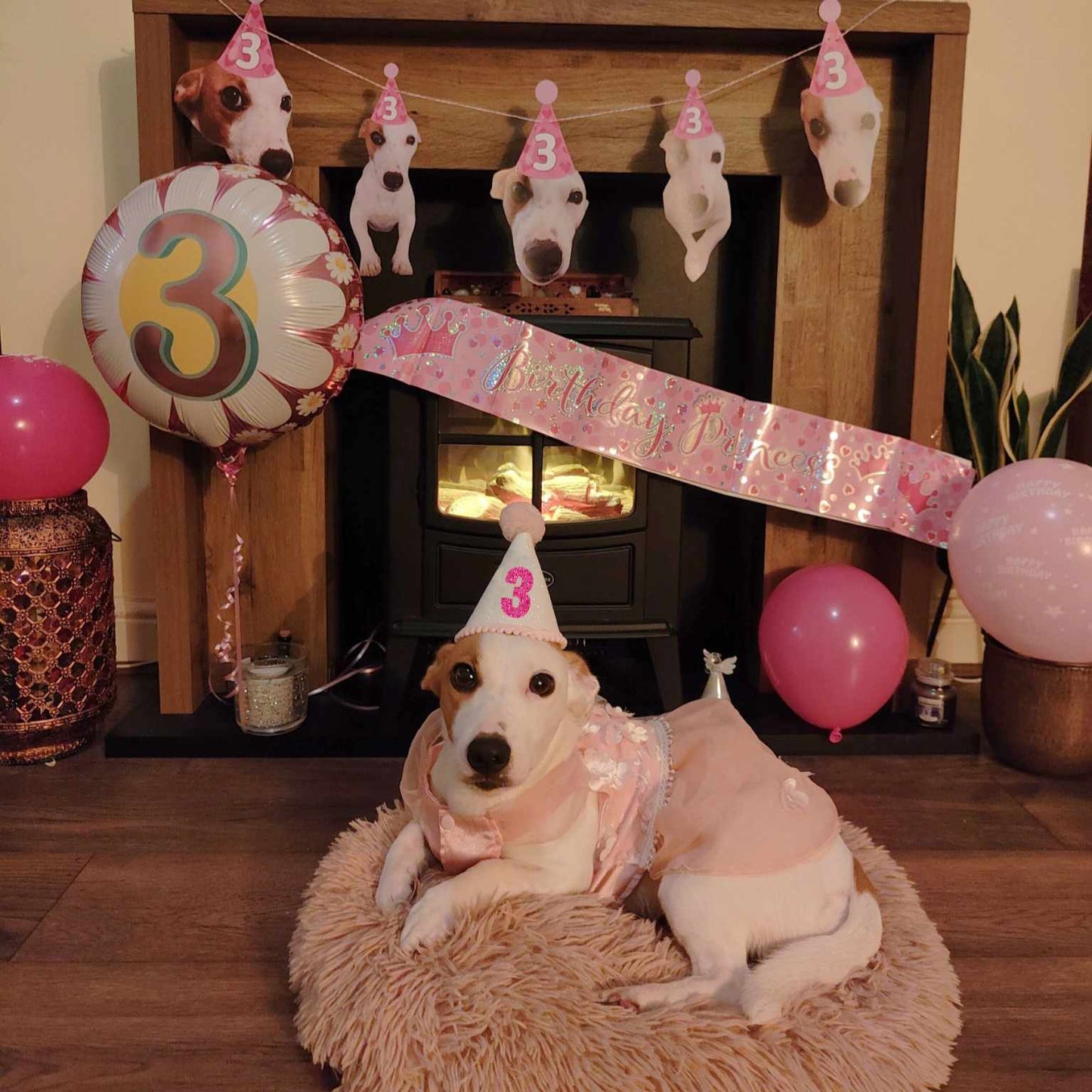 Pet Birthday Pawty Banner