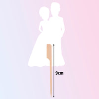 Personalised Bride and Groom Cake Toppers