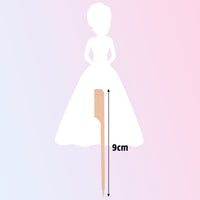 Personalised Bride and Groom Cake Toppers