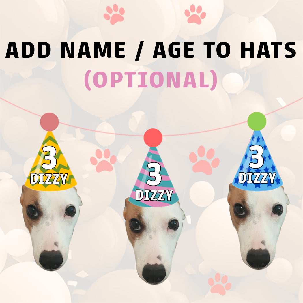 Pet Birthday Pawty Banner