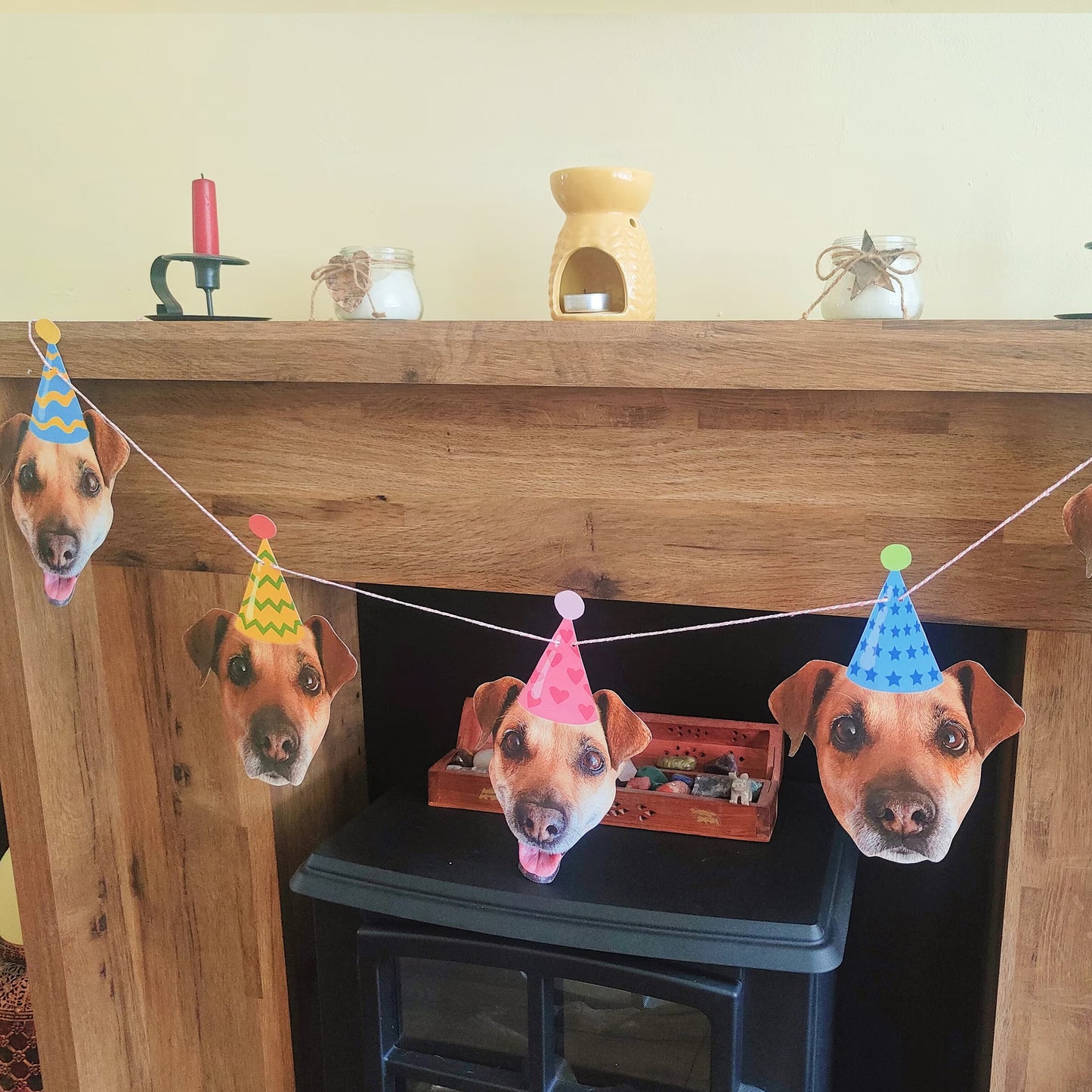 Pet Birthday Pawty Banner