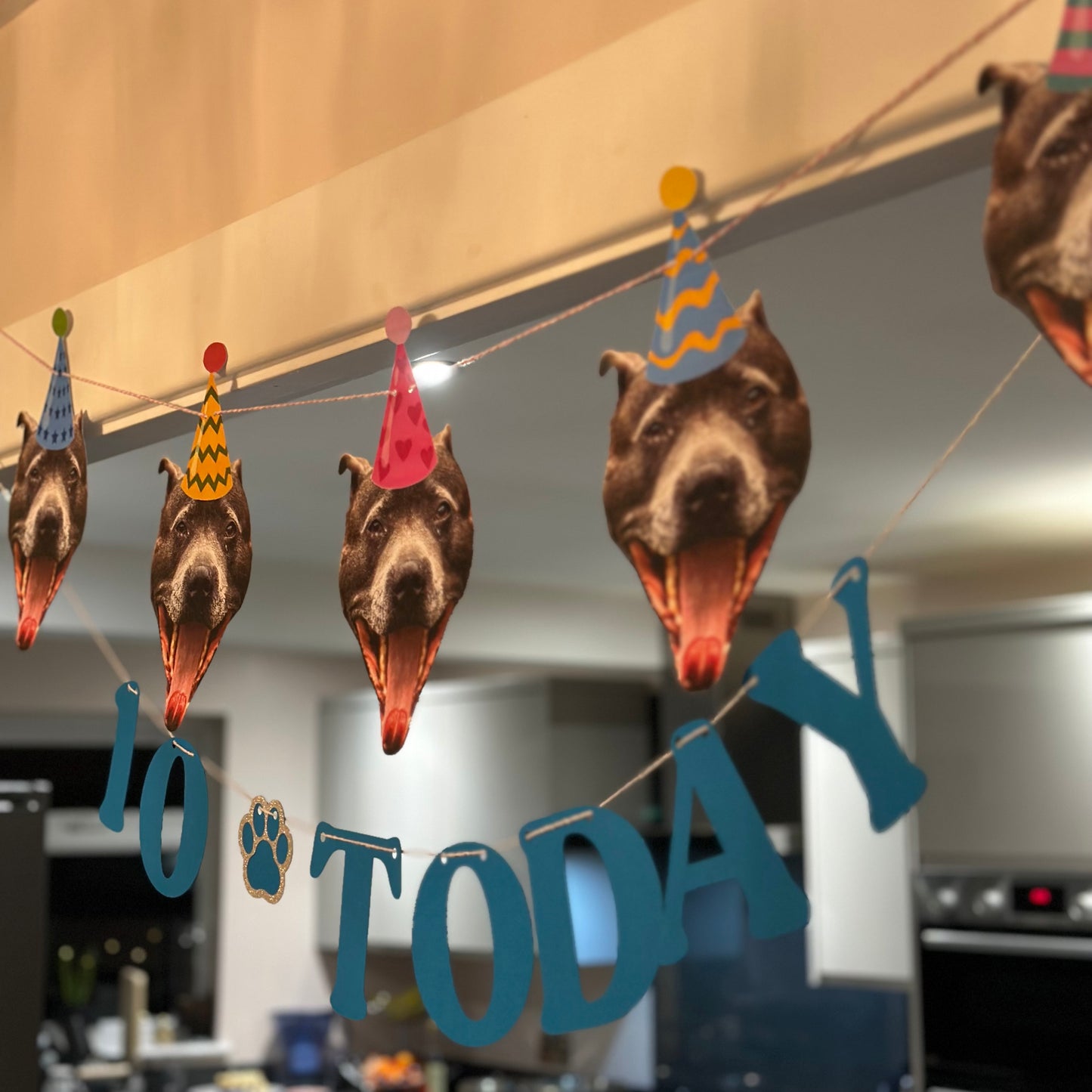 Pet Birthday Pawty Banner