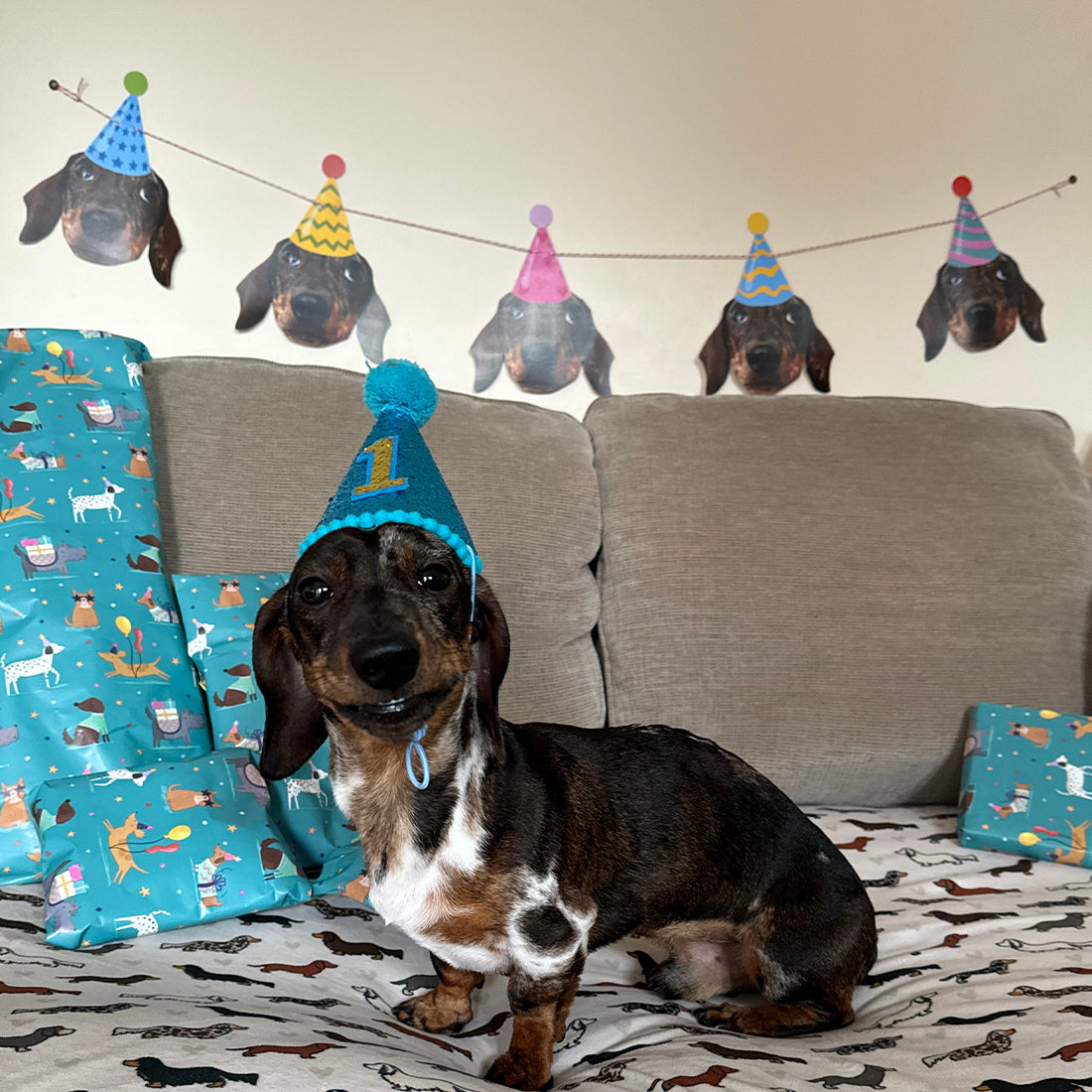 Pet Birthday Pawty Banner