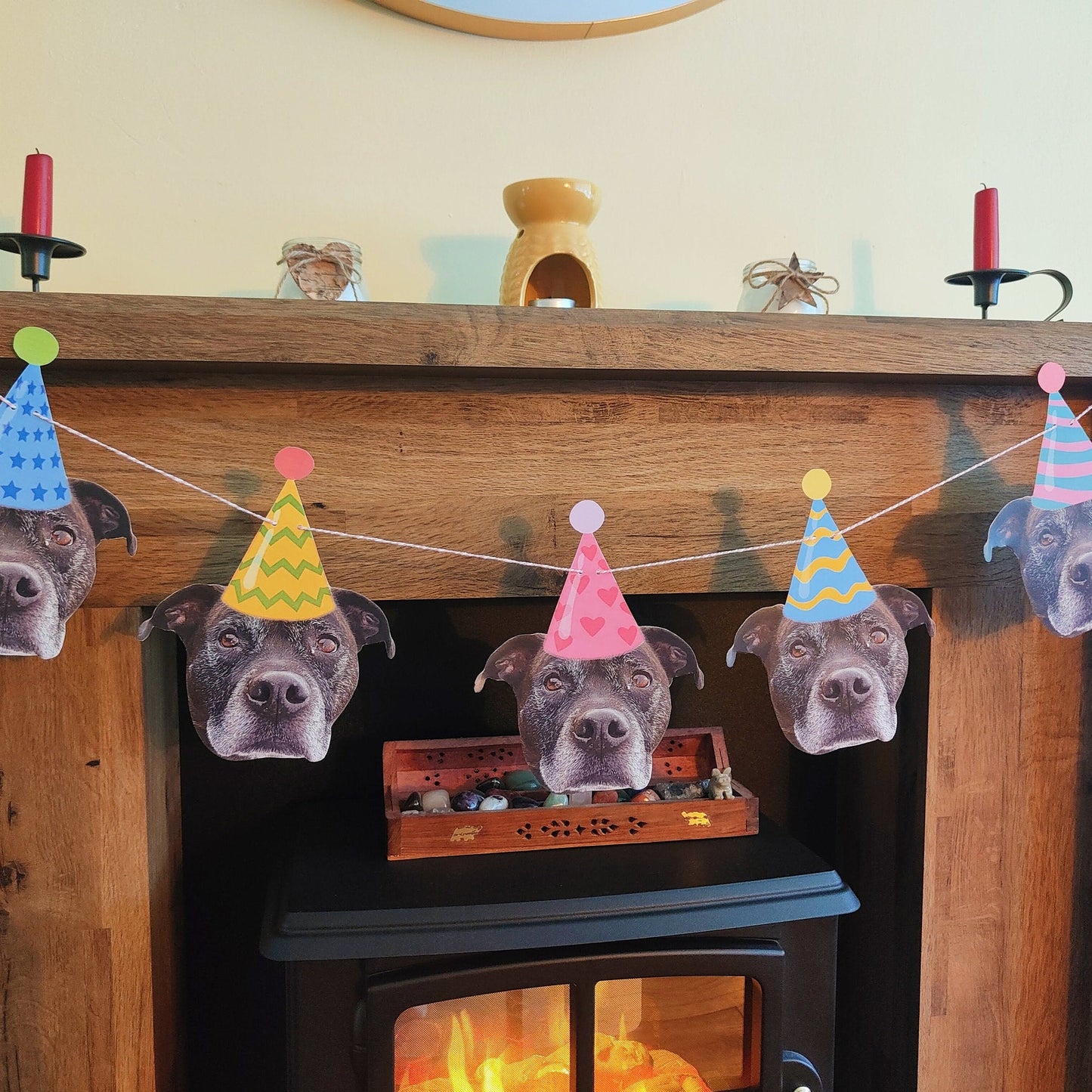 Pet Birthday Pawty Banner