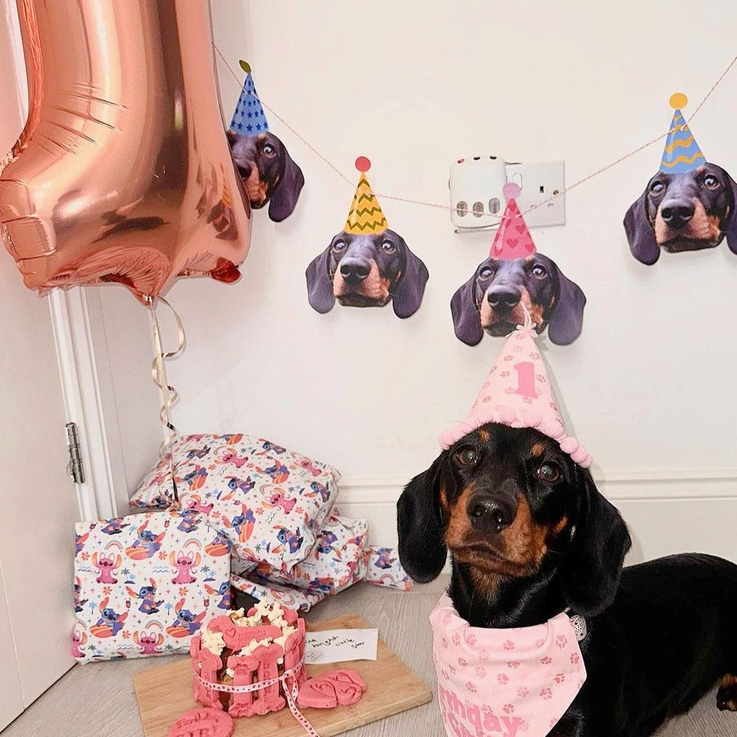 Pet Birthday Pawty Banner