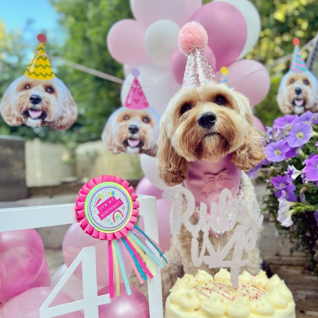 Pet Birthday Pawty Banner