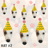 Pet Birthday Pawty Banner