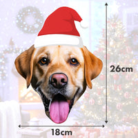 Personalised Pet Santa Hat Banner Dog wearing a Santa hat with measurements on a festive background