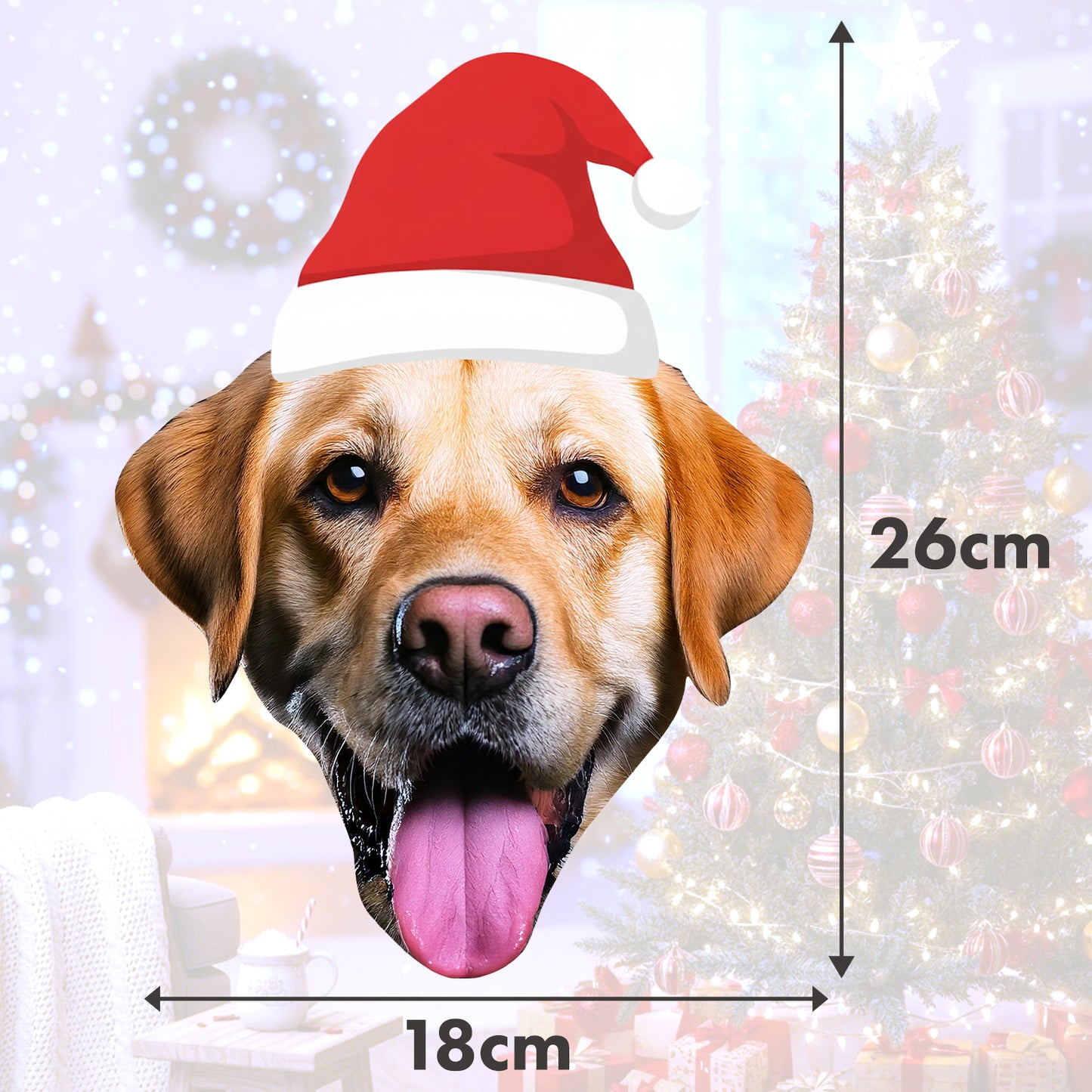 Personalised Pet Santa Hat Banner Dog wearing a Santa hat with measurements on a festive background