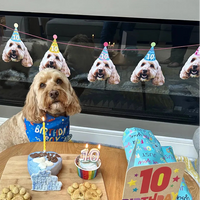 Personalised dog birthday party banner featuring custom photo cut-outs of a dog wearing party hats.